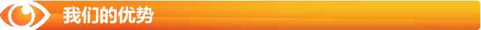 我們的優(yōu)勢