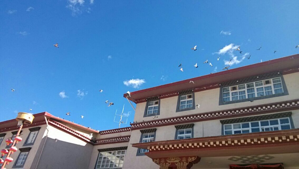 霧霾天氣應(yīng)更關(guān)注孩子視力健康-兒童視力保健 兒童近視保健