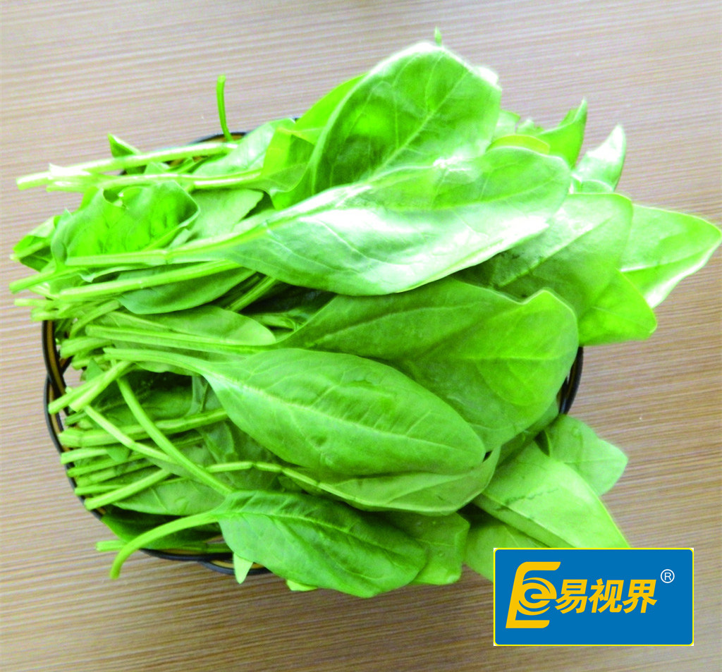 上班族十大神級護(hù)眼食物