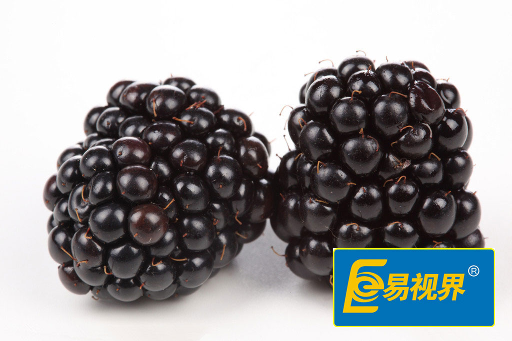 易視界護眼專家 兒童健康護眼食譜