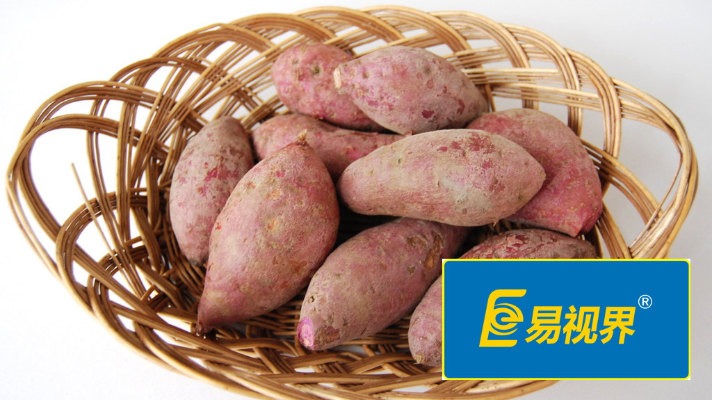 易視界護眼專家 眼睛干澀吃什么對眼睛好