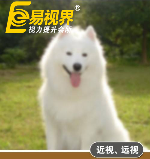 不一樣的眼病，不一樣的世界