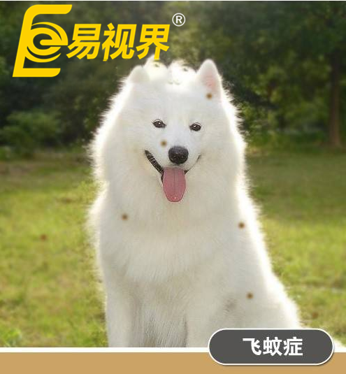 不一樣的眼病，不一樣的世界