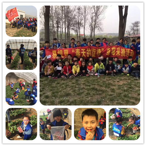 易視界&ldquo;春天的旋律&rdquo;草莓采摘活動(dòng)圓滿結(jié)束