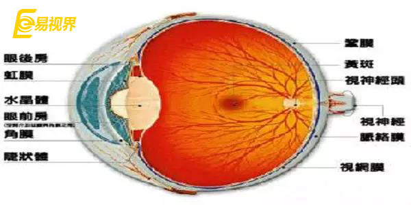 預(yù)防視網(wǎng)膜脫落應(yīng)該注意哪些方面【易視界眼健康管理機(jī)構(gòu)】